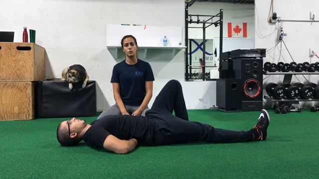 Скручивания МакГилла / McGill Crunch смотреть онлайн