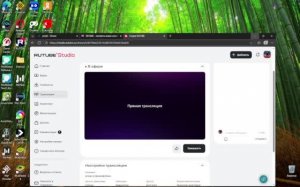 играю в фазмафобию