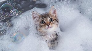 ИИ | ЗАЛИПАЛКИ | РАЗВЛЕКАТЕЛЬНОЕ ВИДЕО