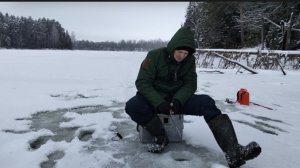 38. Зимняя рыбалка. Окуньки на мормышку. Жерлицы.