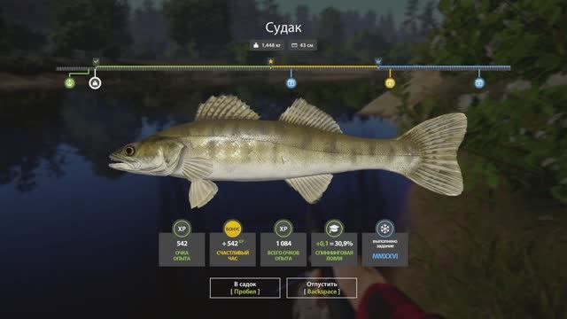 Русская рыбалка 4 Новогодние задания 2026. смотреть онлайн