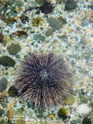 ответяю ваши вопросы