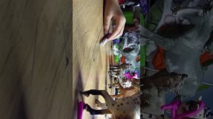 лошади фирмы schleich играют Правда или действие