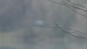 1 Часть Трутовик Глубокая Осень Октябрь От 10 10 2025 Года.