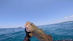 Моя Жизнь , Мой наркотик Дайвинг / Подводная охота Пальмовый остров