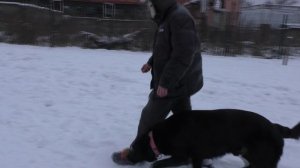 ПРК_Рейган Рей