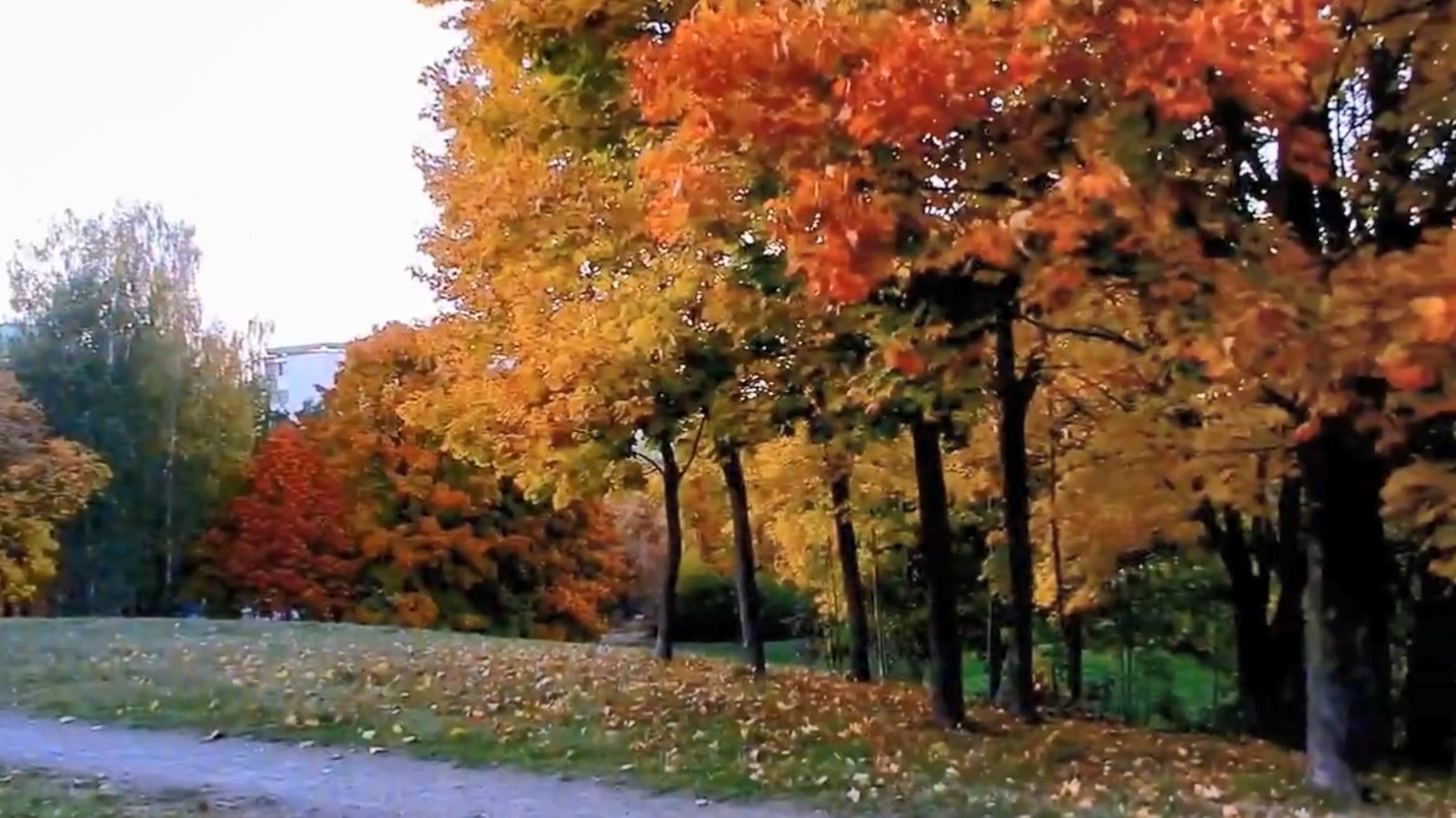 Осень - Красивая Инструментальная Музыка