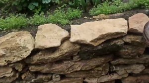 12,13 мая 2025 г. Дожди ,дожди,дожди.