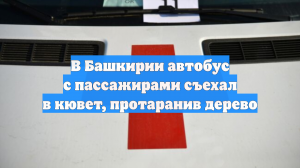 В Башкирии автобус с пассажирами съехал в кювет, протаранив дерево