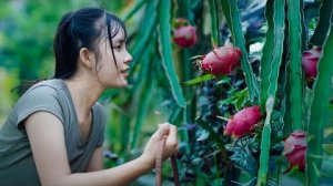 Вяленая хурма, вино из питайи, лунные пряники... — встреча с семьёй в честь Праздника середины осени