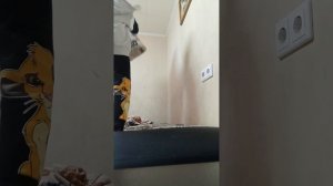 учу драться