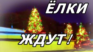 ЁЛКИ УЖЕ В АМФИТЕАТРЕ! ЖДЁМ НОВЫЙ ГОД! МОСКВА. КАТОК В КОЛОМЕНСКОМ. 16 ДЕКАБРЯ 2025 ГОДА.