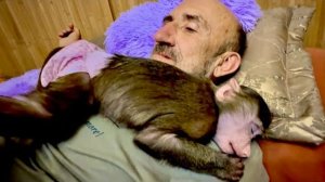 Анфиса не отпускает Влада, связала по рукам и ногам, а Финик чудит с картиной)))