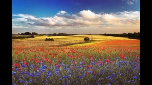 Экономика и прогресс (Suno AI)