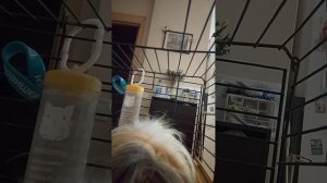 Мини приключения