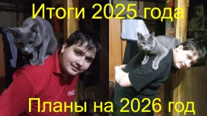 Итоги 2025 года и планы на 2026 год канала Black Falcon