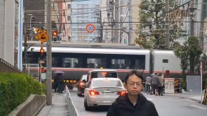 Токио, Япония - первое знакомство со страной, часть 1-я: Мэрия Столицы, Храм Мэйдзи и Аллея Гинкго