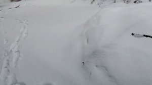 Что на даче после метели ПроДачу.