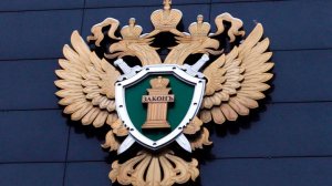 Прокуратура начала проверку после того, как дети провалились под лед в Балашихе