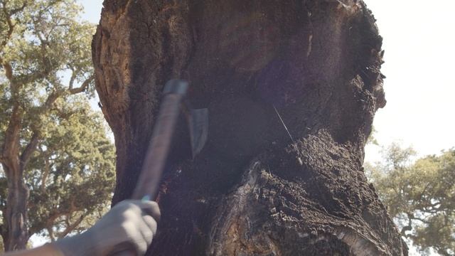 Процесс подготовки пробкового покрытия смотреть онлайн