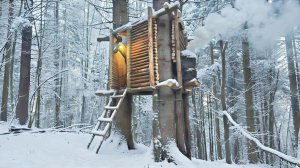 Строю хижину на дереве, на возвышении в плохую погоду. Хижина защищенная от хищников и снега