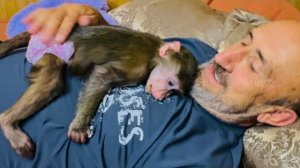 Анфиса делит подаренные бананы, а Финик воюет с Лориком за молоко)))