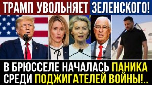 ТРАМП УВОЛЬНЯЕТ ЗЕЛЕНСКОГО! В БРЮССЕЛЕ НАЧАЛАСЬ ПАНИКА СРЕДИ ПОДЖИГАТЕЛЕЙ ВОЙНЫ!