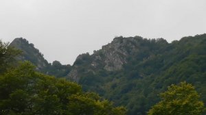 ВИДЕО  ПВН  ББ   (1576)