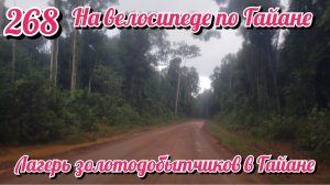 Лагерь золотодобытчиков в Гайане. На велосипеде по Южной Америке День 268 Гайана