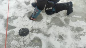 video5368732772384936955