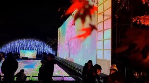 Уцуномия и Асикага - классические провинциальные города Японии, которые тоже нам интересны