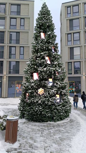 Самое необычное украшение новогодней ёлки