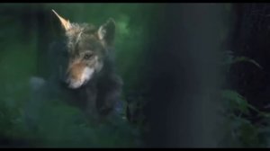 Garik Garik  А СОСНЫ ТРЕЩАТ ЕЛИ СКРИПЯТ