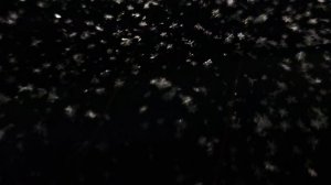 Снежинки на черном фоне 8к