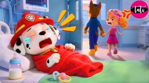 Щенячий патруль и Маршалл. Залипательное видео. Мультфильм для детей и малышей. Анимация 29