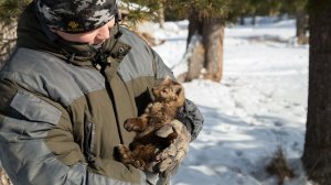 История из жизни