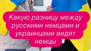 Почему многие переводчики в Европе отказывают украинцам или глупость, которая вызывает смех.#беженцы