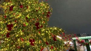 НОВОГОДНЯЯ