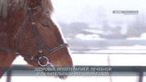 Иркутский ипподром «Байкал» получил статус племенной организации