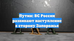 Путин: ВС России развивают наступление в сторону Запорожья