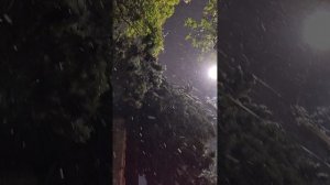 Вечерний снегопад в Ялте 29.12.2025