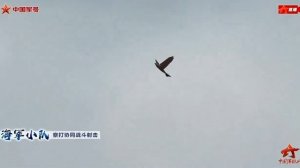 Китайские птицы-шпионы