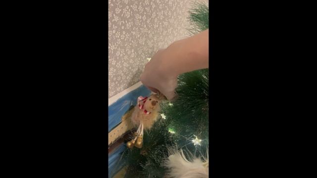 Готовимся к Новому Году. смотреть онлайн