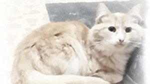 Жизнь за жизнь Олег Юргаев