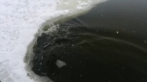 Немного рыбки наловил