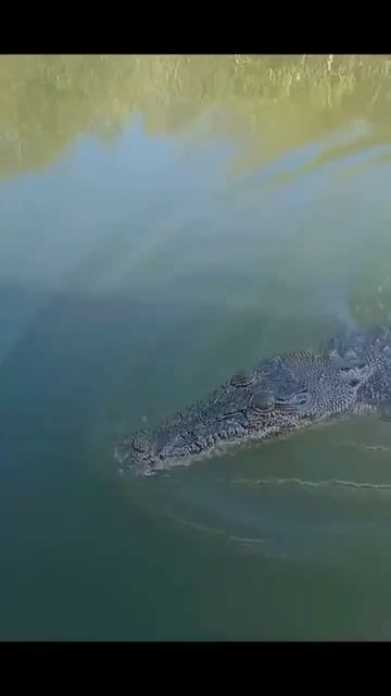 Экстримальная рыбалка