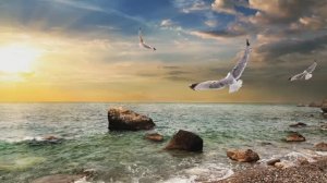 ПЕСНЯ У ЧЕРНОГО МОРЯ  В ИСПОЛНЕНИЕ ВЛАДИМИРА КУДРИНСКОГО