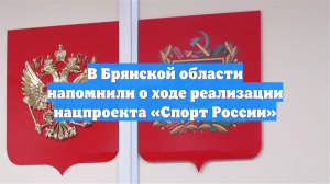 В Брянской области напомнили о ходе реализации нацпроекта «Спорт России»