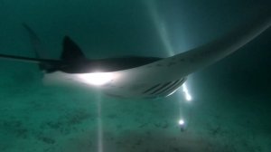 Мальдивы Манты