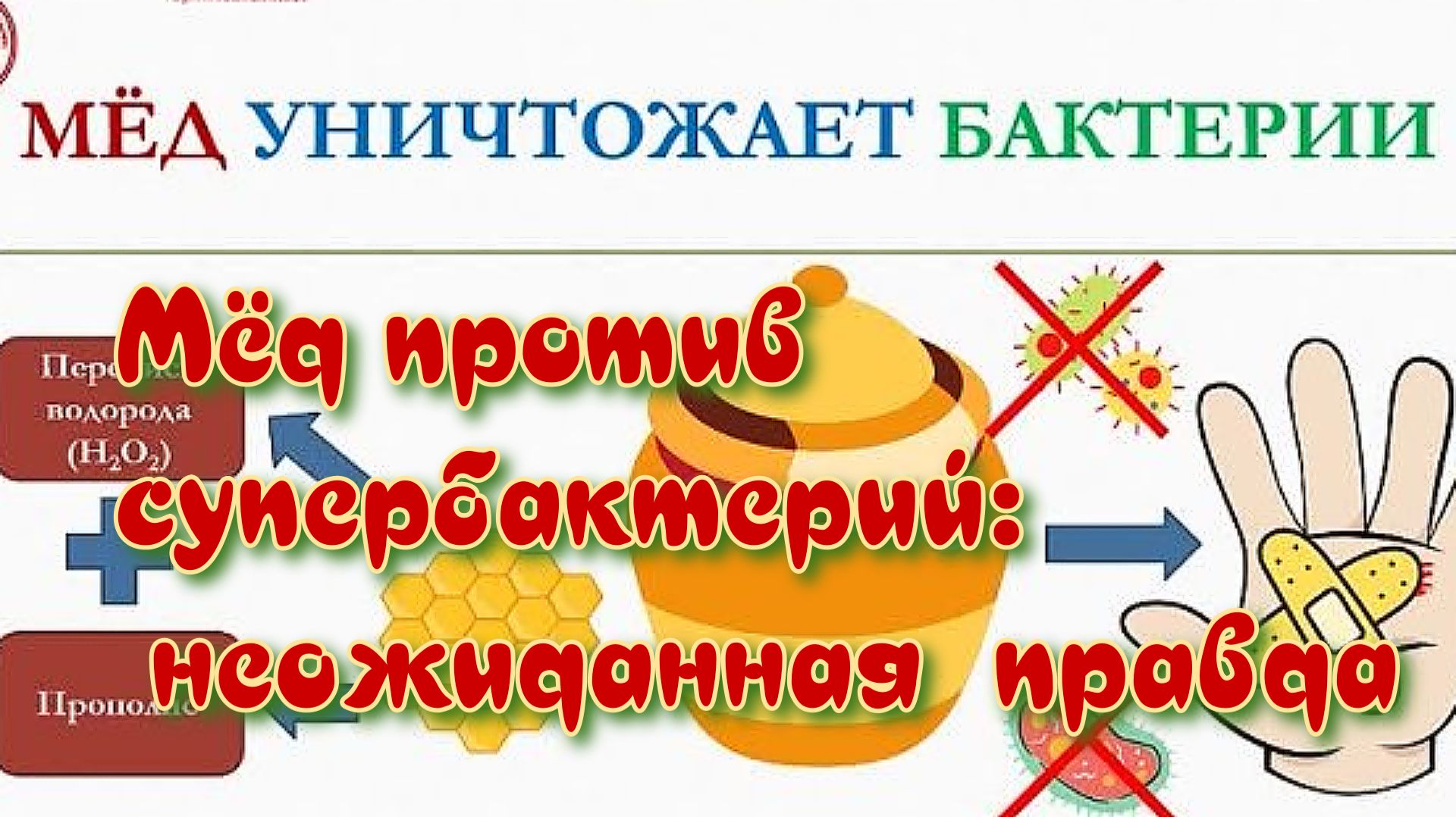 Мёд против супербактерий: неожиданная правда смотреть онлайн
